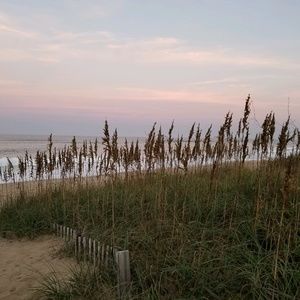 Meet your Posher, Miranda